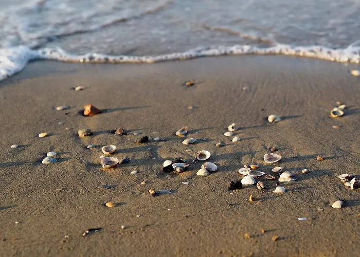 公寓 Amazing With Private Garden In 比比翁