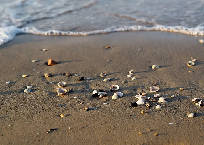 Appartamento Amazing With Private Garden In *